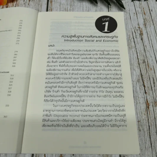 สังคมกับเศรษฐกิจ Society And Economy - ผศ.ดร.ณรงค์ โพธิ์พฤกษานันท์ รูปที่ 9