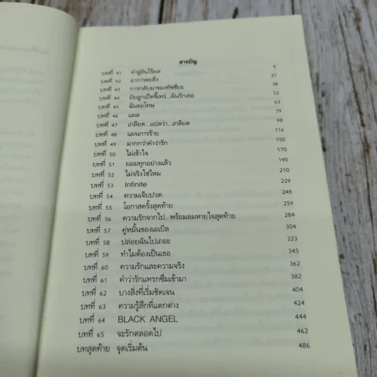 เทวดาตัวร้ายกับยัยลูกเป็ดขี้เหร่ 3 เล่มจบ รูปที่ 16