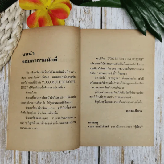 จอมคาถาหน้าตี๋ - ดอนเขียน รูปที่ 6