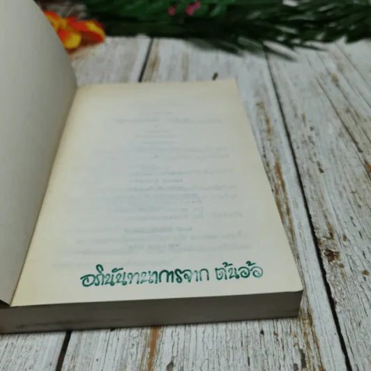 เกร็ดดาว ภาพสะท้อนชีวิตผู้หญิงเก่งบนเส้นทางดารา - นิเวศน์ กันไทยราษฎร์ รูปที่ 5