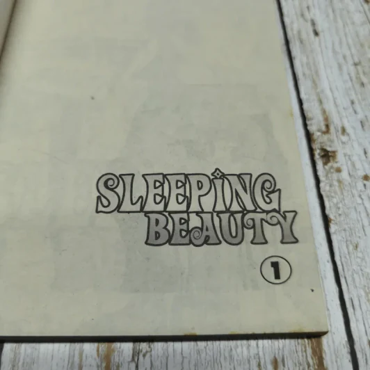 Sleeping Beauty 3 เล่มจบ รูปที่ 8