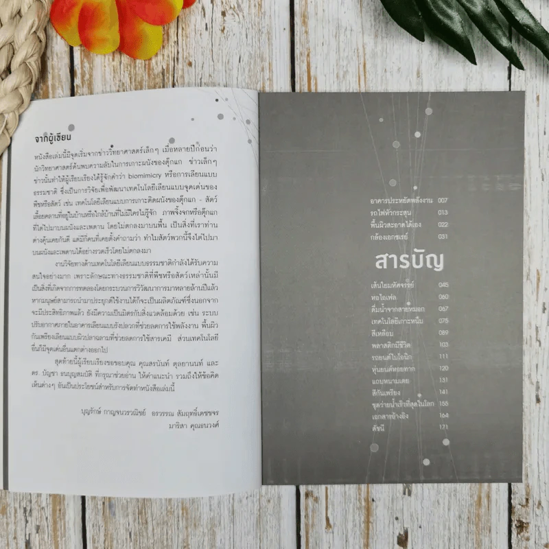 สิ่งประดิษฐ์ธรรมชาติ Mi Mic - บุญรักษ์ กาญจนวรวณิชย์ รูปที่ 7