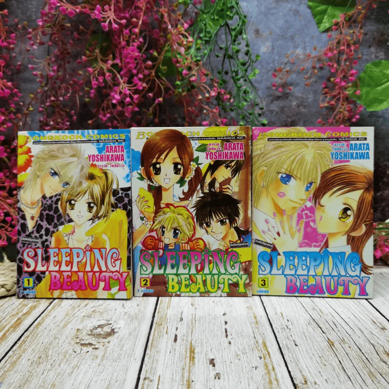 Sleeping Beauty 3 เล่มจบ รูปที่ 1