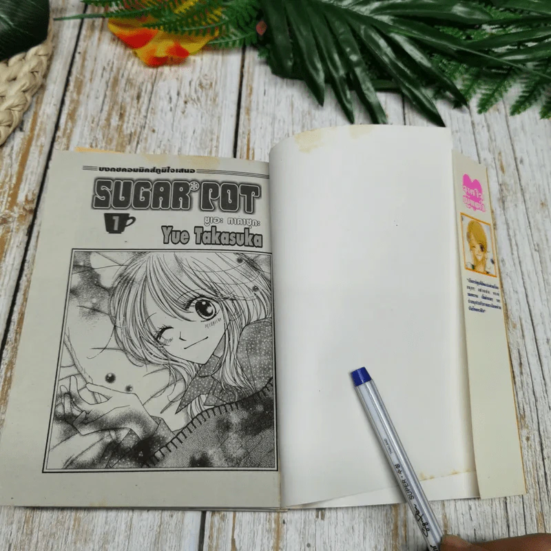 Sugar Pot 3 เล่มจบ รูปที่ 5