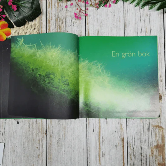 en gorn bok - Johanna Brink รูปที่ 6