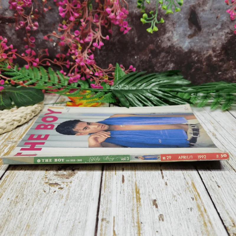 The Boy No.29 จักรกฤษณ์ อำมรัตน์ รูปที่ 2