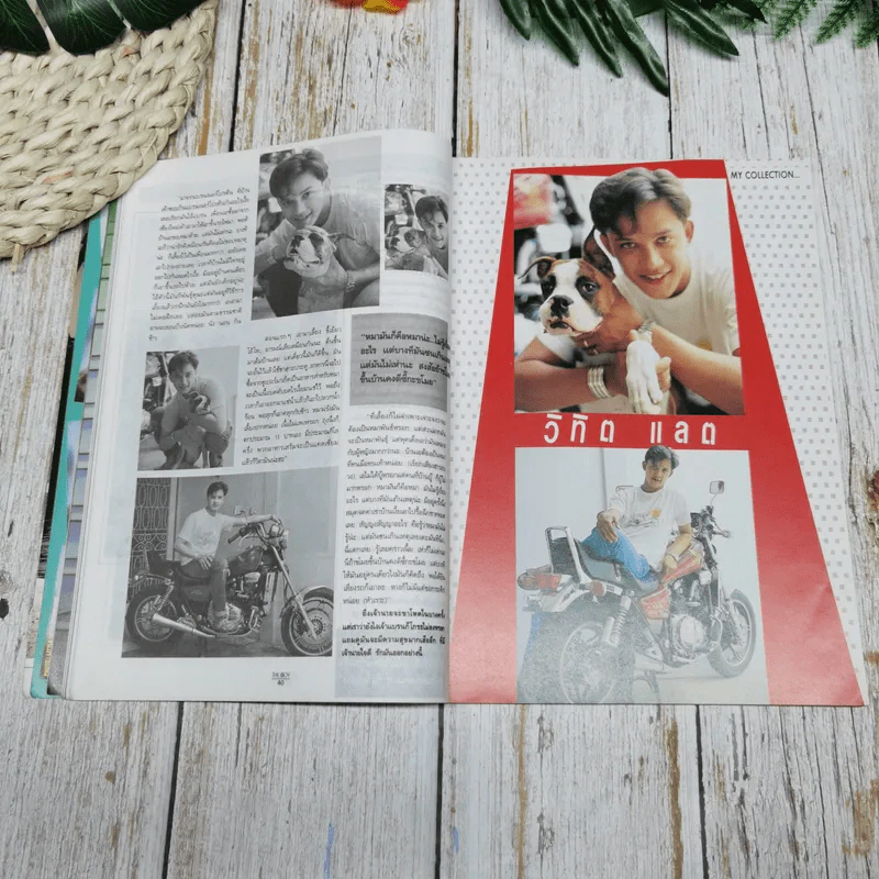 The Boy No.29 จักรกฤษณ์ อำมรัตน์ รูปที่ 10
