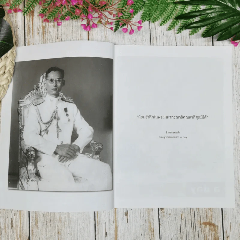 a day 195 ในหลวงร.9 รูปที่ 9