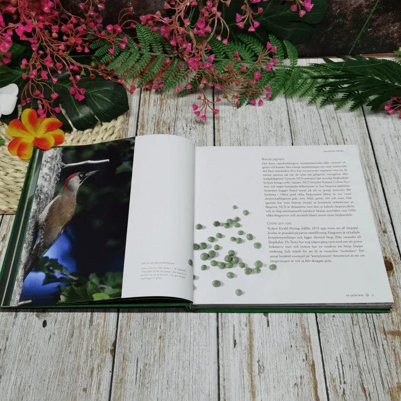 en gorn bok - Johanna Brink รูปที่ 12