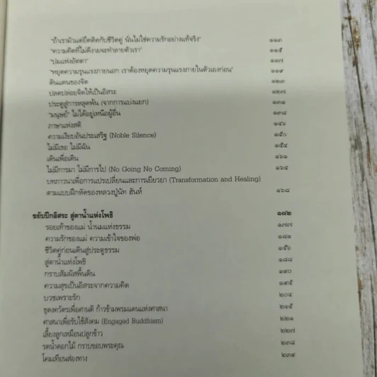 เริ่มต้นใหม่ Beginning a New รูปที่ 6