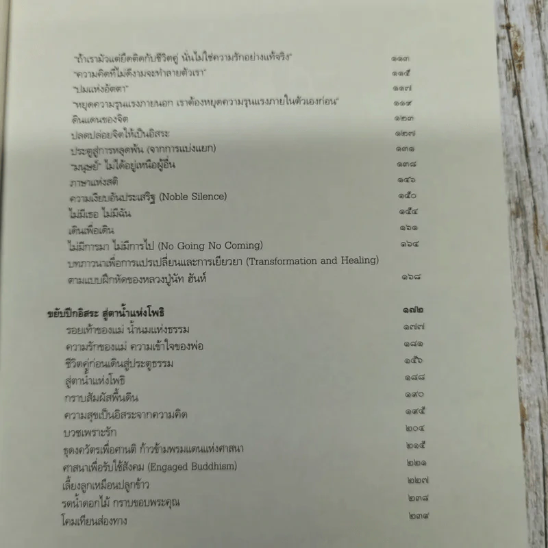 เริ่มต้นใหม่ Beginning a New รูปที่ 6
