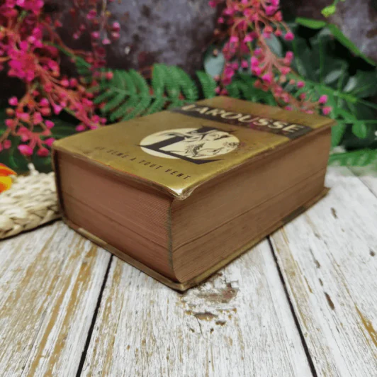 Larousse Illustre - Nouveau Petit รูปที่ 3