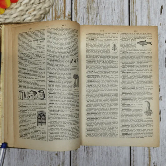 Larousse Illustre - Nouveau Petit รูปที่ 10