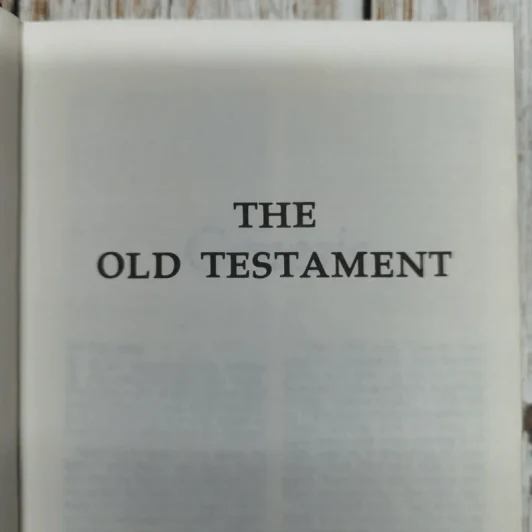 Holy Bible New International Version รูปที่ 7