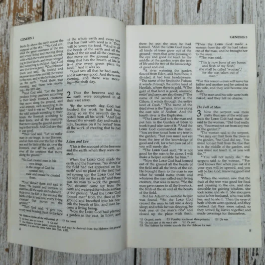 Holy Bible New International Version รูปที่ 9