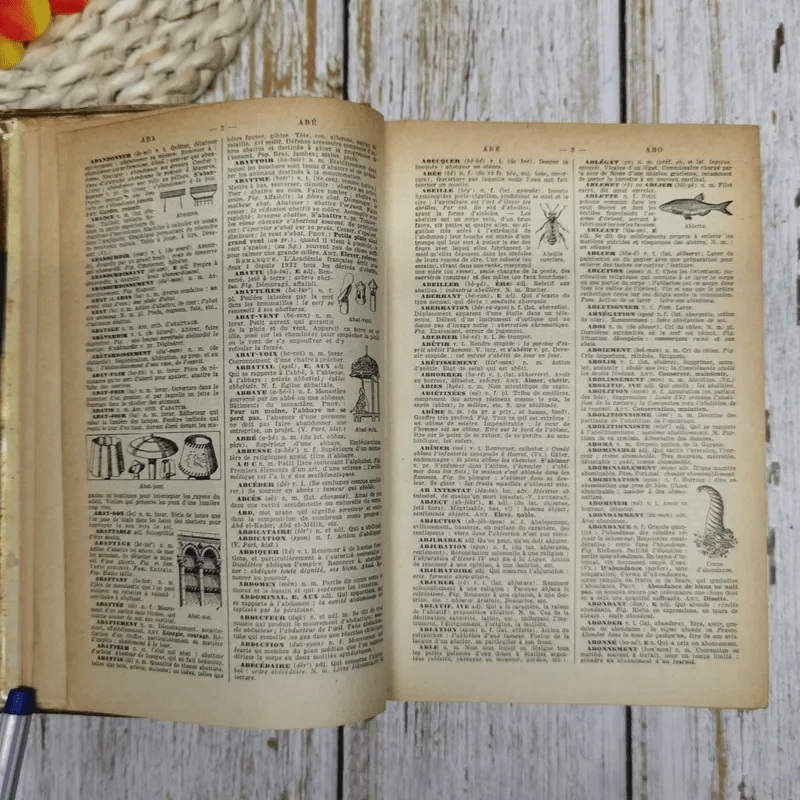 Larousse Illustre - Nouveau Petit รูปที่ 10