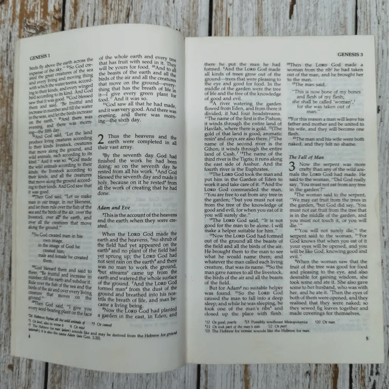 Holy Bible New International Version รูปที่ 9