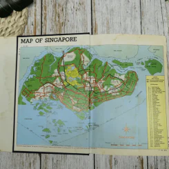The Fiction of Singapore รูปที่ 5