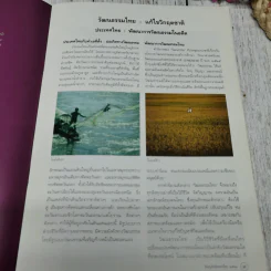 อนุรักษ์มรดกไทย 2541 วัฒนธรรมไทย : แก้ไขวิกฤตชาติ รูปที่ 7