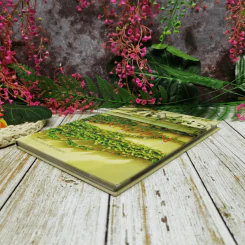 คู่มือการจัดและตกแต่ง สวนในบ้าน เล่ม 13 Garden Details  ไอเดียดีๆในสวนที่ไม่ควรพลาด รูปที่ 3
