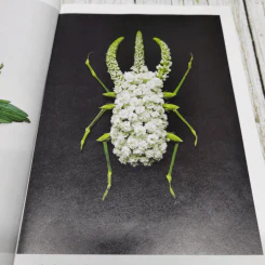 National Geographic 09.2019 รูปที่ 9