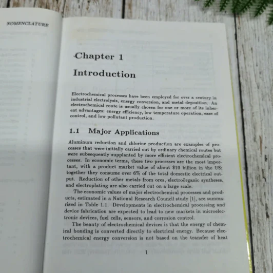 Electrochemical Engineering Principles รูปที่ 8