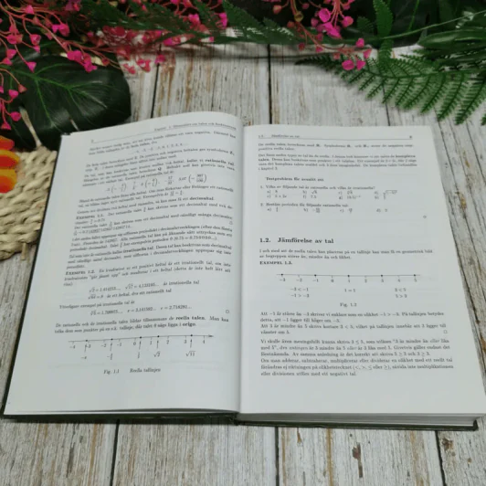 Matematik for Ingenjorer รูปที่ 11