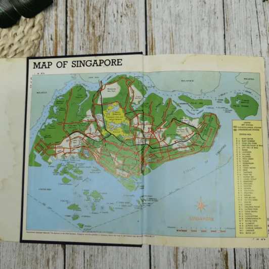 The Fiction of Singapore รูปที่ 5