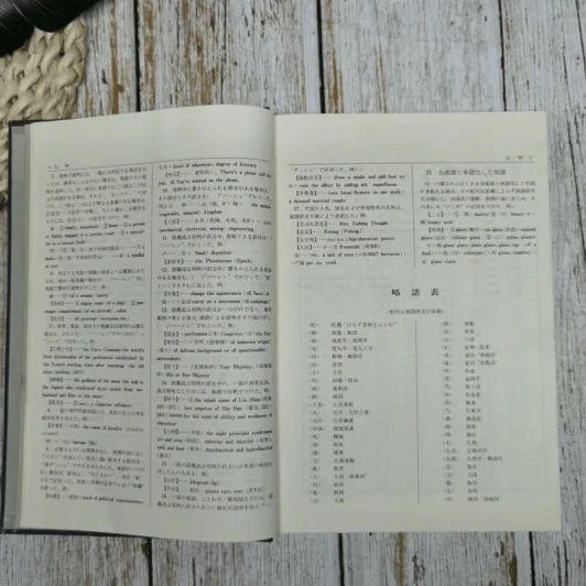 The Chinese-English Dictionary รูปที่ 7