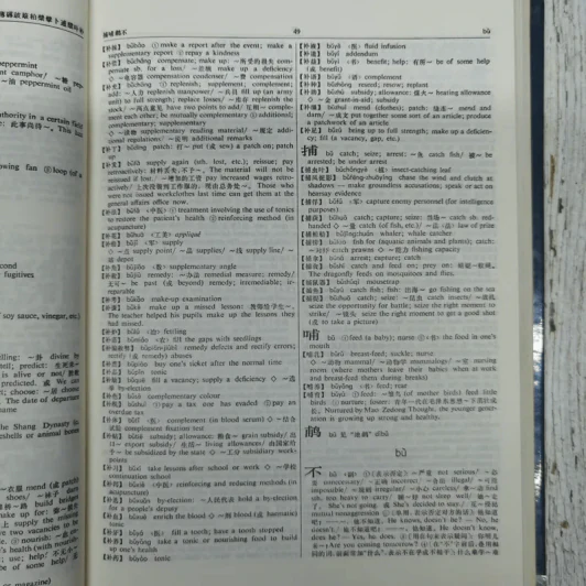 The Chinese-English Dictionary รูปที่ 9