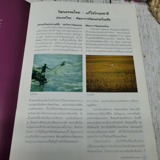 อนุรักษ์มรดกไทย 2541 วัฒนธรรมไทย : แก้ไขวิกฤตชาติ รูปที่ 7