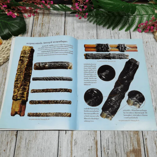 ตำราเปรียบเทียบเครื่องรางของขลัง สูงค่า หายาก เข้มขลัง วัตถุมงคลที่ศึกษายากที่สุด แท้-เก๊ รูปที่ 7