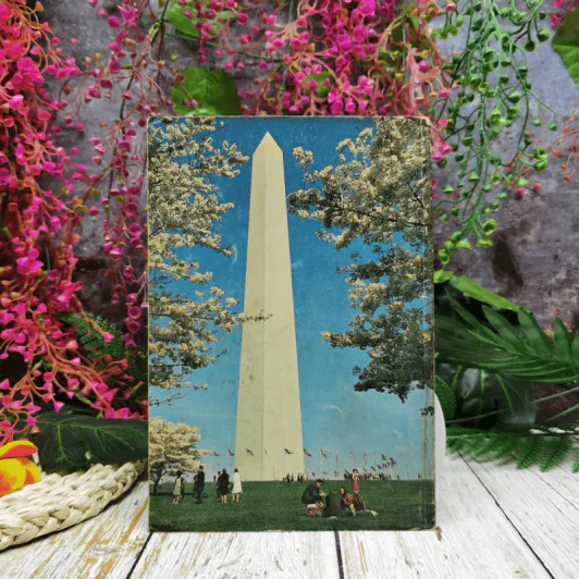 Man And Monument รูปที่ 3