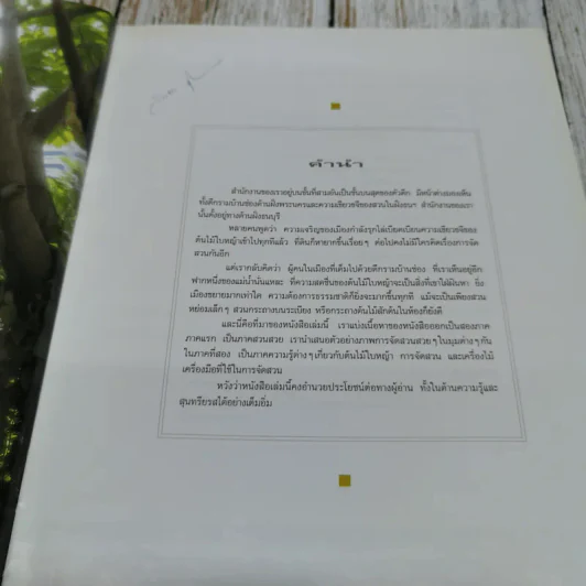 คู่มือการจัดและตกแต่งสวนในบ้าน รูปที่ 5