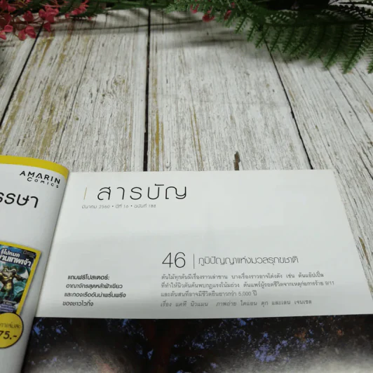 National Geographic ฉบับที่ 188 มีนาคม 2560 พลิกตำนานไวกิ้ง รูปที่ 6