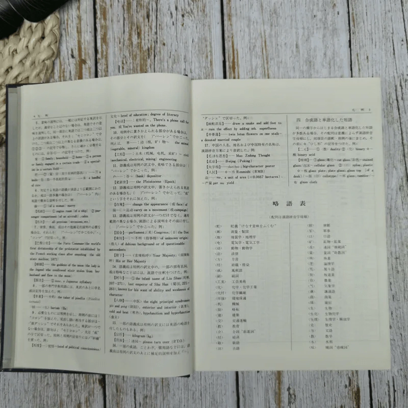 The Chinese-English Dictionary รูปที่ 7