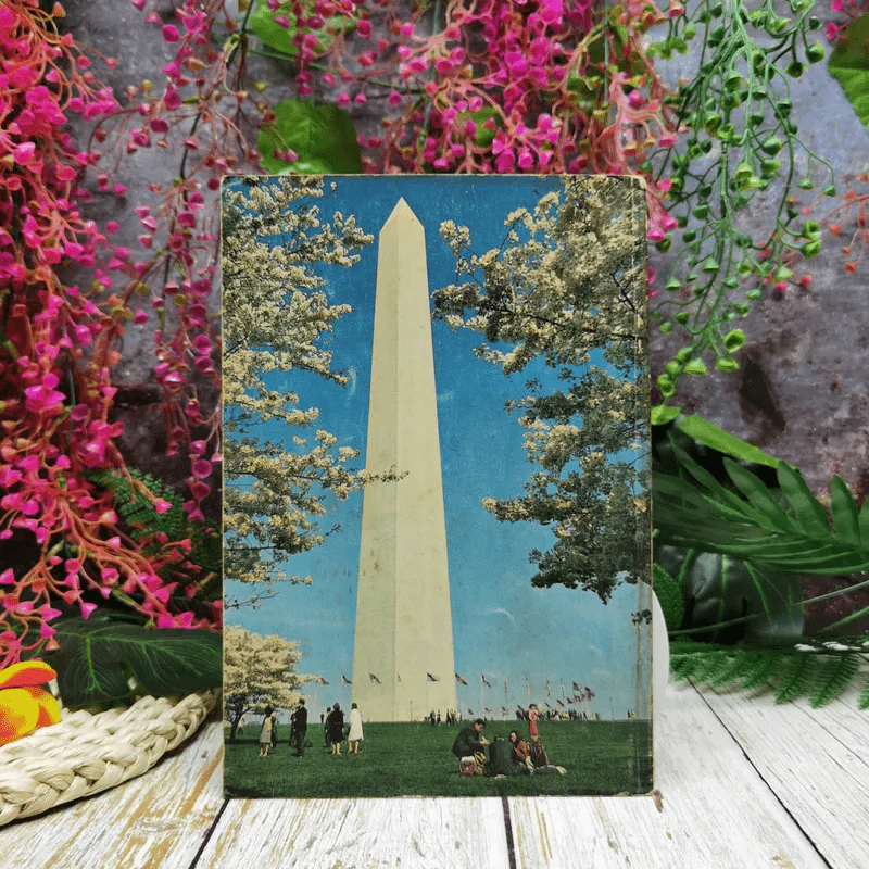 Man And Monument รูปที่ 3