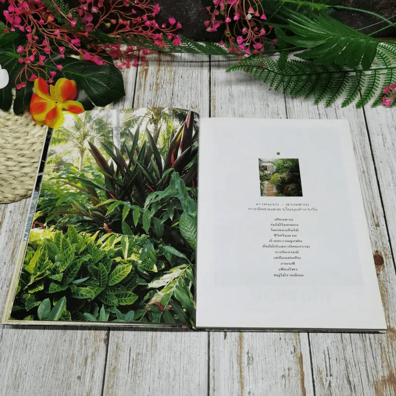 คู่มือการจัดและตกแต่งสวนในบ้าน รูปที่ 8