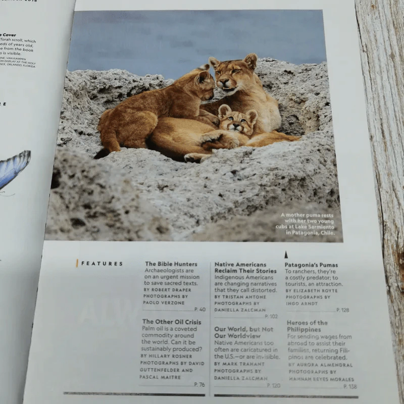 National Geographic 12.2018 รูปที่ 6