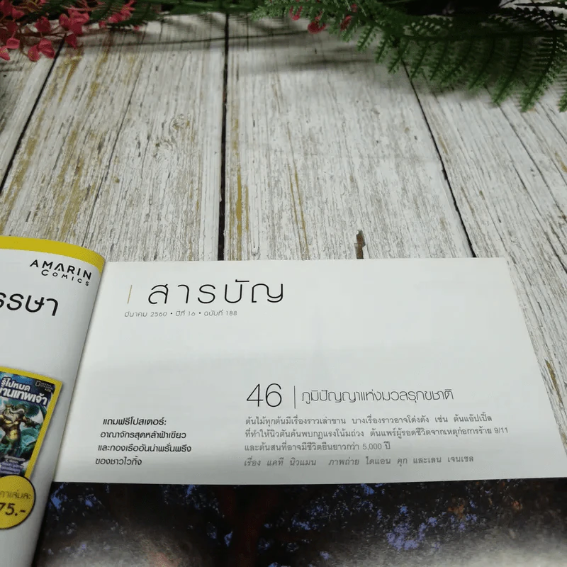 National Geographic ฉบับที่ 188 มีนาคม 2560 พลิกตำนานไวกิ้ง รูปที่ 6