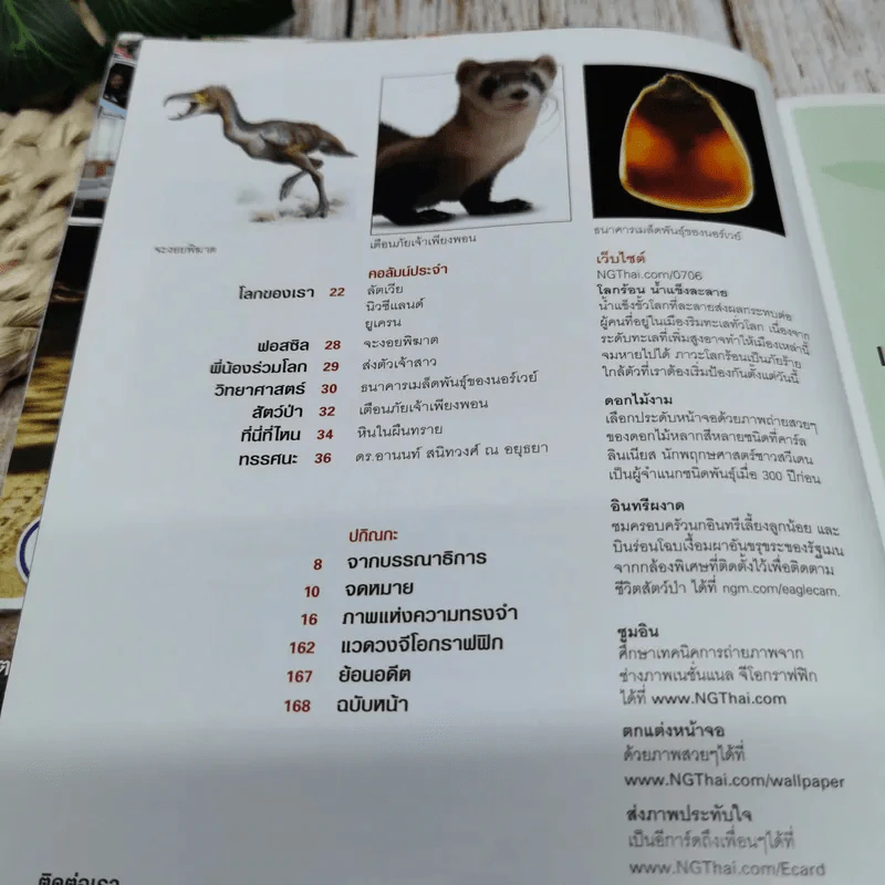 National Geographic ฉบับที่ 71 มิถุนายน 2550 วิกฤติโลกร้อน น้ำแข็งละลาย น้ำทะเลล้นฝั่ง รูปที่ 8