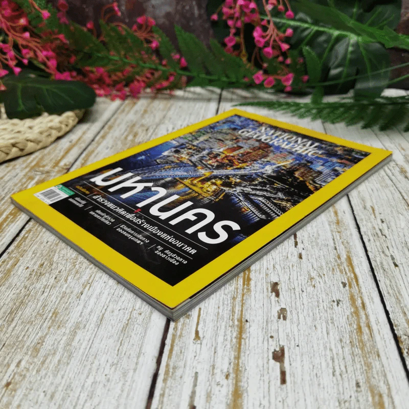 National Geographic ฉบับที่ 213 เมษายน 2562 ฉบับพิเศษว่าด้วยเมืองใหญ่ มหานคร รูปที่ 3
