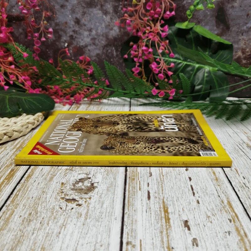 National Geographic ฉบับที่ 69 เม.ย.2550 บทเรียนนักล่า รูปที่ 2