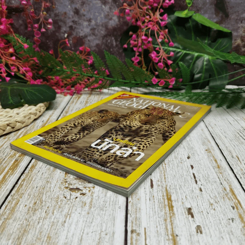 National Geographic ฉบับที่ 69 เม.ย.2550 บทเรียนนักล่า รูปที่ 3