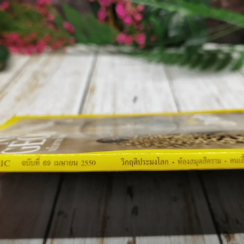 National Geographic ฉบับที่ 69 เม.ย.2550 บทเรียนนักล่า รูปที่ 8