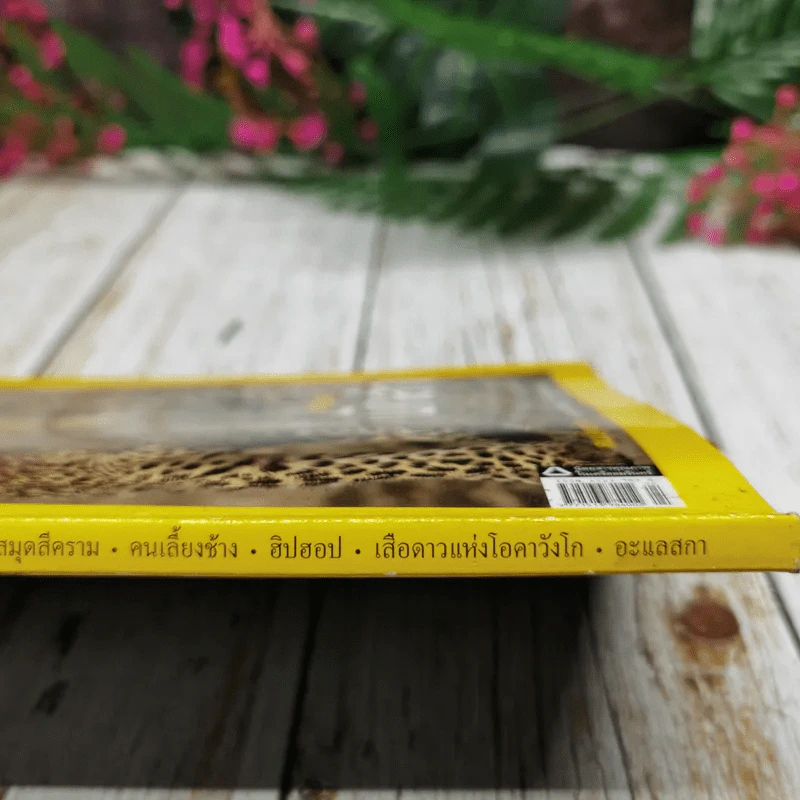 National Geographic ฉบับที่ 69 เม.ย.2550 บทเรียนนักล่า รูปที่ 9