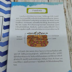 ผิวใสใจสบาย สไตล์หมอแจ๊กกี้ รูปที่ 9