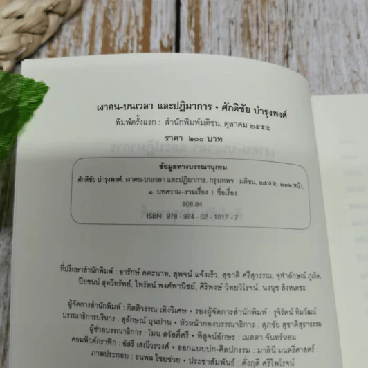 เงาคนบนเวลาและปฏิมาการ - ศักดิชัย บำรุงพงศ์ รูปที่ 6