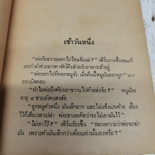 แมงมุมเพื่อนรัก รูปที่ 7