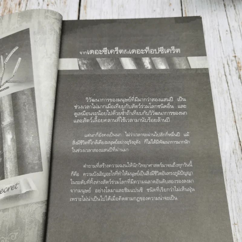 The Top Secret เดอะท็อปซีเคร็ต - ทันตแพทย์สม สุจีรา รูปที่ 8